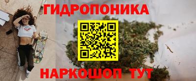 jwh Кимры