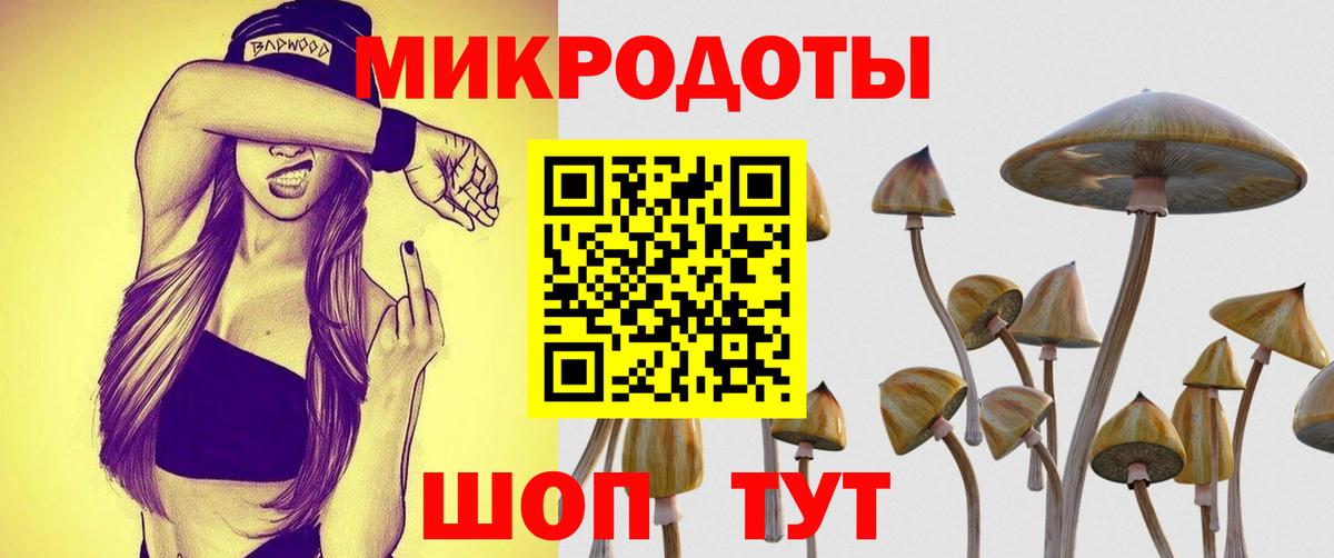 Псилоцибиновые грибы Cubensis  Вход с VPN  Псилоцибиновые грибы Psilocybe  Сыктывкар 
