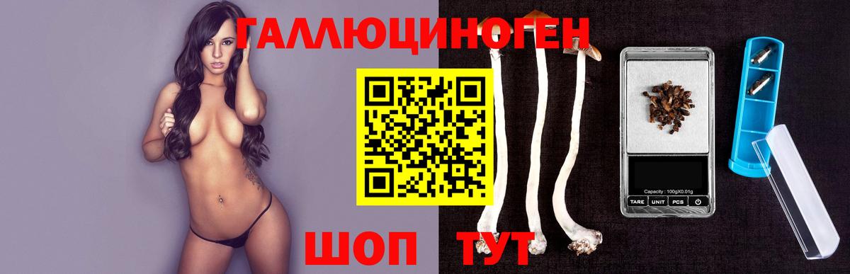 Галлюциногенные грибы Cubensis Сыктывкар